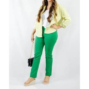NEW PINE APPAREL eric millennium straight leg pants in green